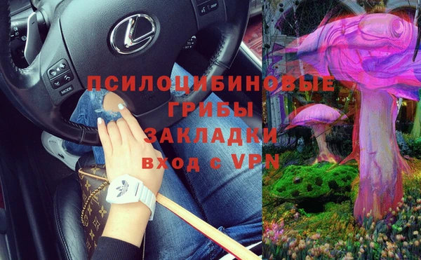 ALPHA PVP Ладушкин